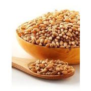 Рыжик Алтай 500 гр фасовка