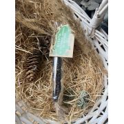 Цукаты из сосновых шишек на шпажке, 20 гр